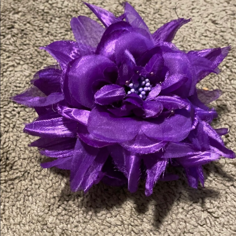 Hair clip - Picture 2 of 4
